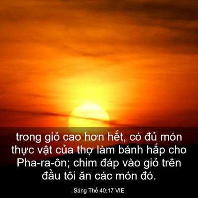 Picture 03 - Sáng Thế 40:17 VIE - trong giỏ cao hơn hết, có đủ món thực - Bible Verse Picture