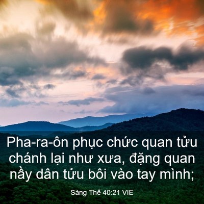 Picture 03 - Sáng Thế 40:21 VIE - Pha-ra-ôn phục chức quan tửu chánh lại - Bible Verse Picture