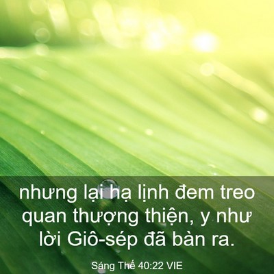 Picture 03 - Sáng Thế 40:22 VIE - nhưng lại hạ lịnh đem treo quan thượng - Bible Verse Picture