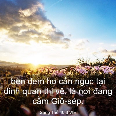 Picture 03 - Sáng Thế 40:3 VIE - bèn đem họ cần ngục tại dinh quan thị - Bible Verse Picture
