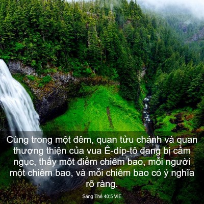 Picture 03 - Sáng Thế 40:5 VIE - Cùng trong một đêm, quan tửu chánh và - Bible Verse Picture