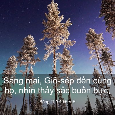 Picture 03 - Sáng Thế 40:6 VIE - Sáng mai, Giô-sép đến cùng họ, nhìn - Bible Verse Picture