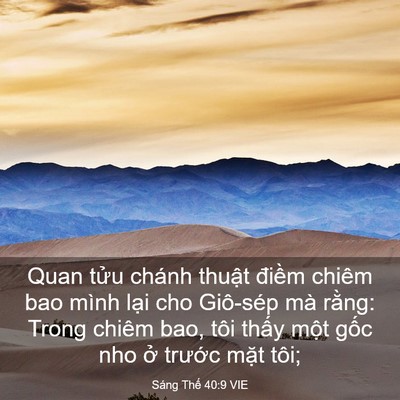 Picture 03 - Sáng Thế 40:9 VIE - Quan tửu chánh thuật điềm chiêm bao - Bible Verse Picture