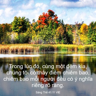 Picture 03 - Sáng Thế 41:11 VIE - Trong lúc đó, cùng một đêm kia, chúng - Bible Verse Picture