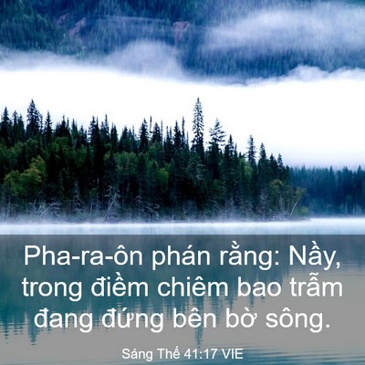 Picture 03 - Sáng Thế 41:17 VIE - Pha-ra-ôn phán rằng: Nầy, trong điềm - Bible Verse Picture