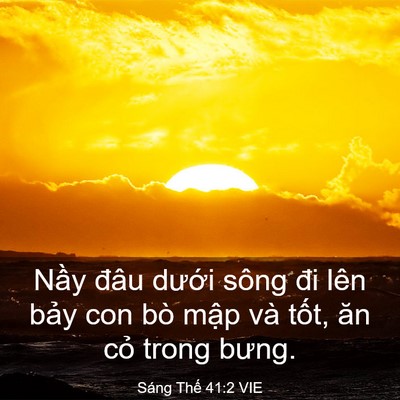 Picture 03 - Sáng Thế 41:2 VIE - Nầy đâu dưới sông đi lên bảy con bò - Bible Verse Picture