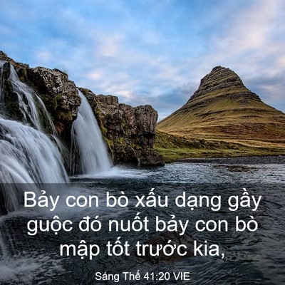 Picture 03 - Sáng Thế 41:20 VIE - Bảy con bò xấu dạng gầy guộc đó - Bible Verse Picture