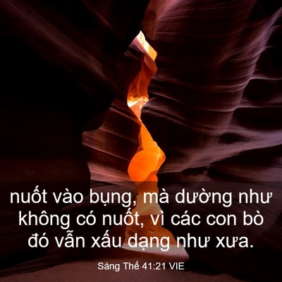 Picture 03 - Sáng Thế 41:21 VIE - nuốt vào bụng, mà dường như không có - Bible Verse Picture