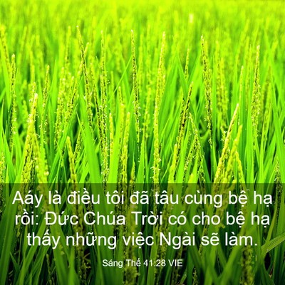 Picture 03 - Sáng Thế 41:28 VIE - Aáy là điều tôi đã tâu cùng bệ hạ - Bible Verse Picture
