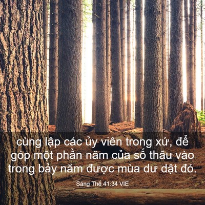 Picture 03 - Sáng Thế 41:34 VIE - cùng lập các ủy viên trong xứ, để - Bible Verse Picture