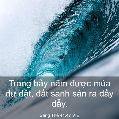 Picture 03 - Sáng Thế 41:47 VIE - Trong bảy năm được mùa dư dật, đất - Bible Verse Picture