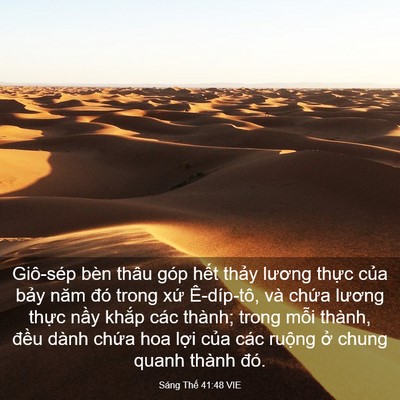 Picture 03 - Sáng Thế 41:48 VIE - Giô-sép bèn thâu góp hết thảy lương - Bible Verse Picture