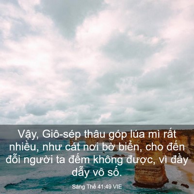 Picture 03 - Sáng Thế 41:49 VIE - Vậy, Giô-sép thâu góp lúa mì rất - Bible Verse Picture