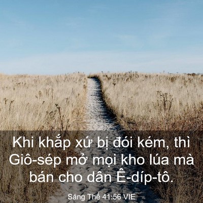 Picture 03 - Sáng Thế 41:56 VIE - Khi khắp xứ bị đói kém, thì Giô-sép - Bible Verse Picture