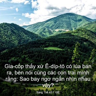 Picture 03 - Sáng Thế 42:1 VIE - Gia-cốp thấy xứ Ê-díp-tô có lúa bán - Bible Verse Picture