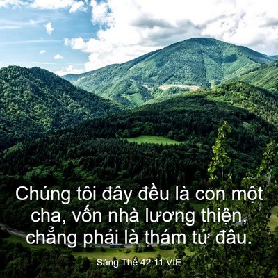 Picture 03 - Sáng Thế 42:11 VIE - Chúng tôi đây đều là con một cha, vốn - Bible Verse Picture