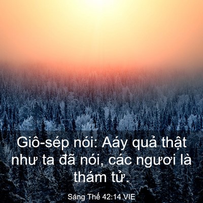 Picture 03 - Sáng Thế 42:14 VIE - Giô-sép nói: Aáy quả thật như ta đã - Bible Verse Picture