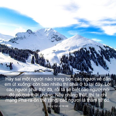 Picture 03 - Sáng Thế 42:16 VIE - Hãy sai một người nào trong bọn các - Bible Verse Picture