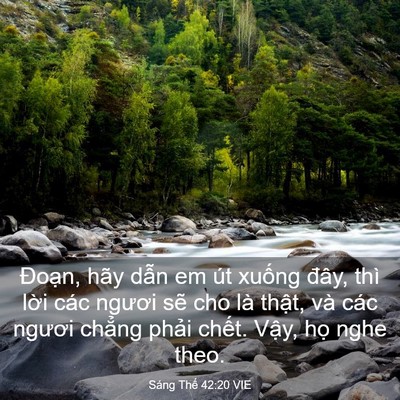 Picture 03 - Sáng Thế 42:20 VIE - Đoạn, hãy dẫn em út xuống đây, thì - Bible Verse Picture