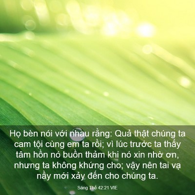 Picture 03 - Sáng Thế 42:21 VIE - Họ bèn nói với nhau rằng: Quả thật - Bible Verse Picture