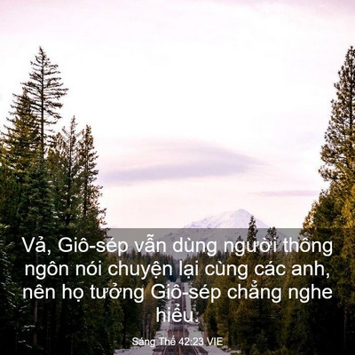 Picture 03 - Sáng Thế 42:23 VIE - Vả, Giô-sép vẫn dùng người thông ngôn - Bible Verse Picture