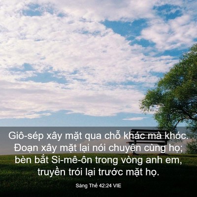 Picture 03 - Sáng Thế 42:24 VIE - Giô-sép xây mặt qua chỗ khác mà khóc. - Bible Verse Picture