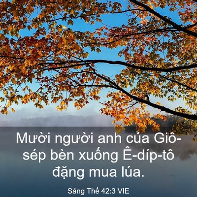 Picture 03 - Sáng Thế 42:3 VIE - Mười người anh của Giô-sép bèn xuống - Bible Verse Picture