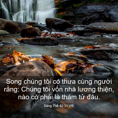 Picture 03 - Sáng Thế 42:31 VIE - Song chúng tôi có thưa cùng người rằng: - Bible Verse Picture
