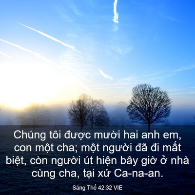 Picture 03 - Sáng Thế 42:32 VIE - Chúng tôi được mười hai anh em, con - Bible Verse Picture