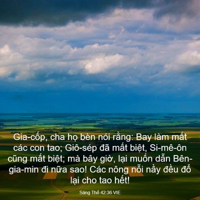 Picture 03 - Sáng Thế 42:36 VIE - Gia-cốp, cha họ bèn nói rằng: Bay làm - Bible Verse Picture