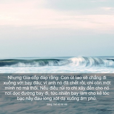 Picture 03 - Sáng Thế 42:38 VIE - Nhưng Gia-cốp đáp rằng: Con út tao sẽ - Bible Verse Picture