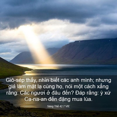 Picture 03 - Sáng Thế 42:7 VIE - Giô-sép thấy, nhìn biết các anh mình; - Bible Verse Picture