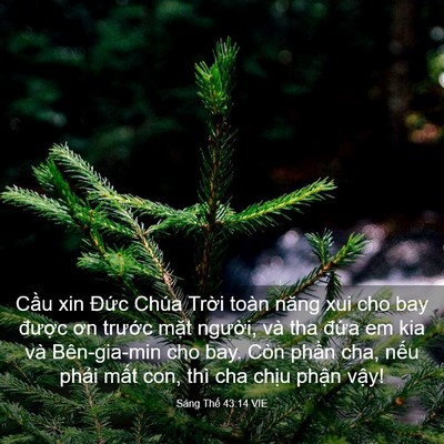 Picture 03 - Sáng Thế 43:14 VIE - Cầu xin Đức Chúa Trời toàn năng xui cho - Bible Verse Picture