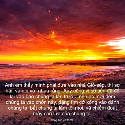 Picture 03 - Sáng Thế 43:18 VIE - Anh em thấy mình phải đưa vào nhà - Bible Verse Picture
