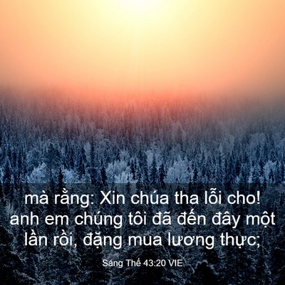 Picture 03 - Sáng Thế 43:20 VIE - mà rằng: Xin chúa tha lỗi cho! anh em - Bible Verse Picture