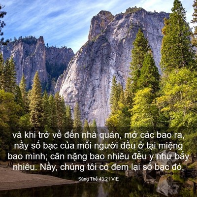 Picture 03 - Sáng Thế 43:21 VIE - và khi trở về đến nhà quán, mở các - Bible Verse Picture
