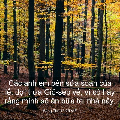Picture 03 - Sáng Thế 43:25 VIE - Các anh em bèn sửa soạn của lễ, đợi - Bible Verse Picture