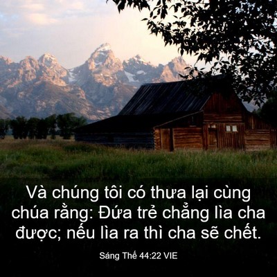 Picture 03 - Sáng Thế 44:22 VIE - Và chúng tôi có thưa lại cùng chúa - Bible Verse Picture