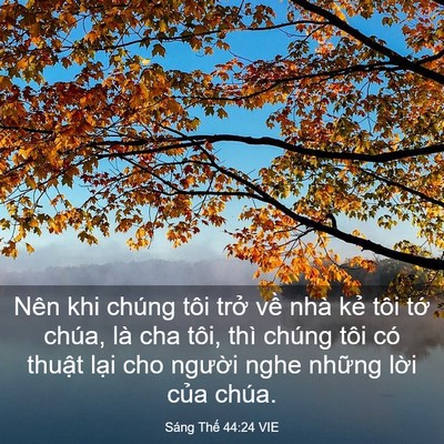 Picture 03 - Sáng Thế 44:24 VIE - Nên khi chúng tôi trở về nhà kẻ tôi - Bible Verse Picture