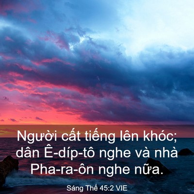 Picture 03 - Sáng Thế 45:2 VIE - Người cất tiếng lên khóc; dân - Bible Verse Picture
