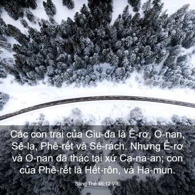 Picture 03 - Sáng Thế 46:12 VIE - Các con trai của Giu-đa là Ê-rơ, O-nan, - Bible Verse Picture