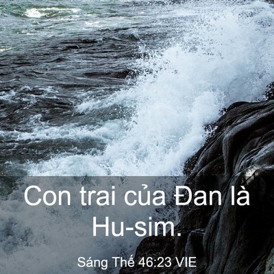 Picture 03 - Sáng Thế 46:23 VIE - Con trai của Đan là - Bible Verse Picture
