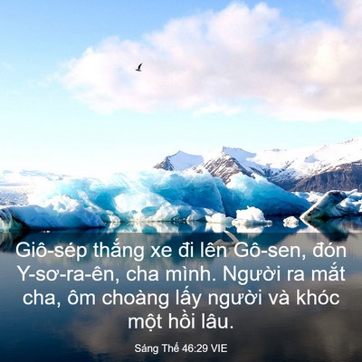 Picture 03 - Sáng Thế 46:29 VIE - Giô-sép thắng xe đi lên Gô-sen, đón - Bible Verse Picture