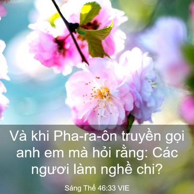 Picture 03 - Sáng Thế 46:33 VIE - Và khi Pha-ra-ôn truyền gọi anh em mà - Bible Verse Picture