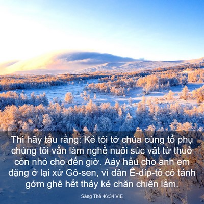 Picture 03 - Sáng Thế 46:34 VIE - Thì hãy tâu rằng: Kẻ tôi tớ chúa cùng - Bible Verse Picture