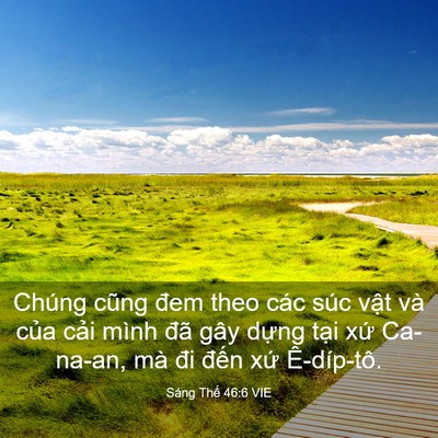 Picture 03 - Sáng Thế 46:6 VIE - Chúng cũng đem theo các súc vật và của - Bible Verse Picture