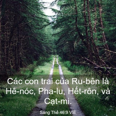 Picture 03 - Sáng Thế 46:9 VIE - Các con trai của Ru-bên là Hê-nóc, Pha-lu, - Bible Verse Picture