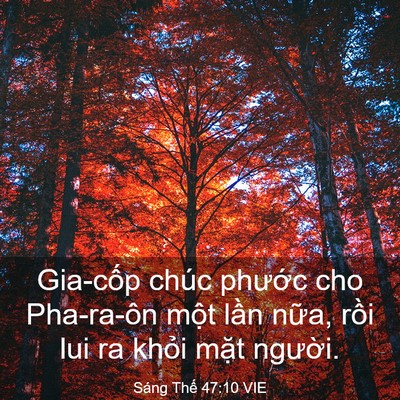 Picture 03 - Sáng Thế 47:10 VIE - Gia-cốp chúc phước cho Pha-ra-ôn một - Bible Verse Picture