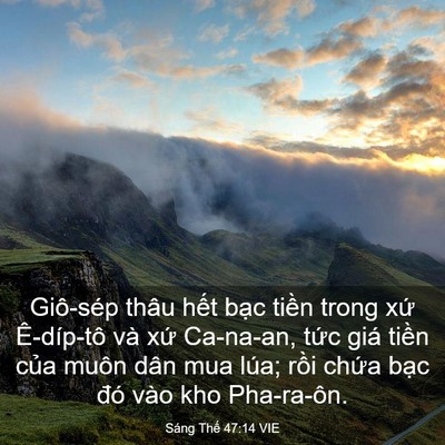 Picture 03 - Sáng Thế 47:14 VIE - Giô-sép thâu hết bạc tiền trong xứ - Bible Verse Picture