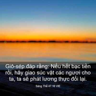 Picture 03 - Sáng Thế 47:16 VIE - Giô-sép đáp rằng: Nếu hết bạc tiền - Bible Verse Picture